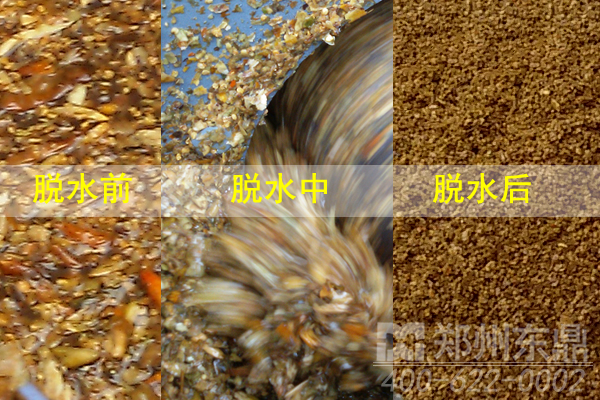 螺旋擠壓辣椒皮脫水機(jī)